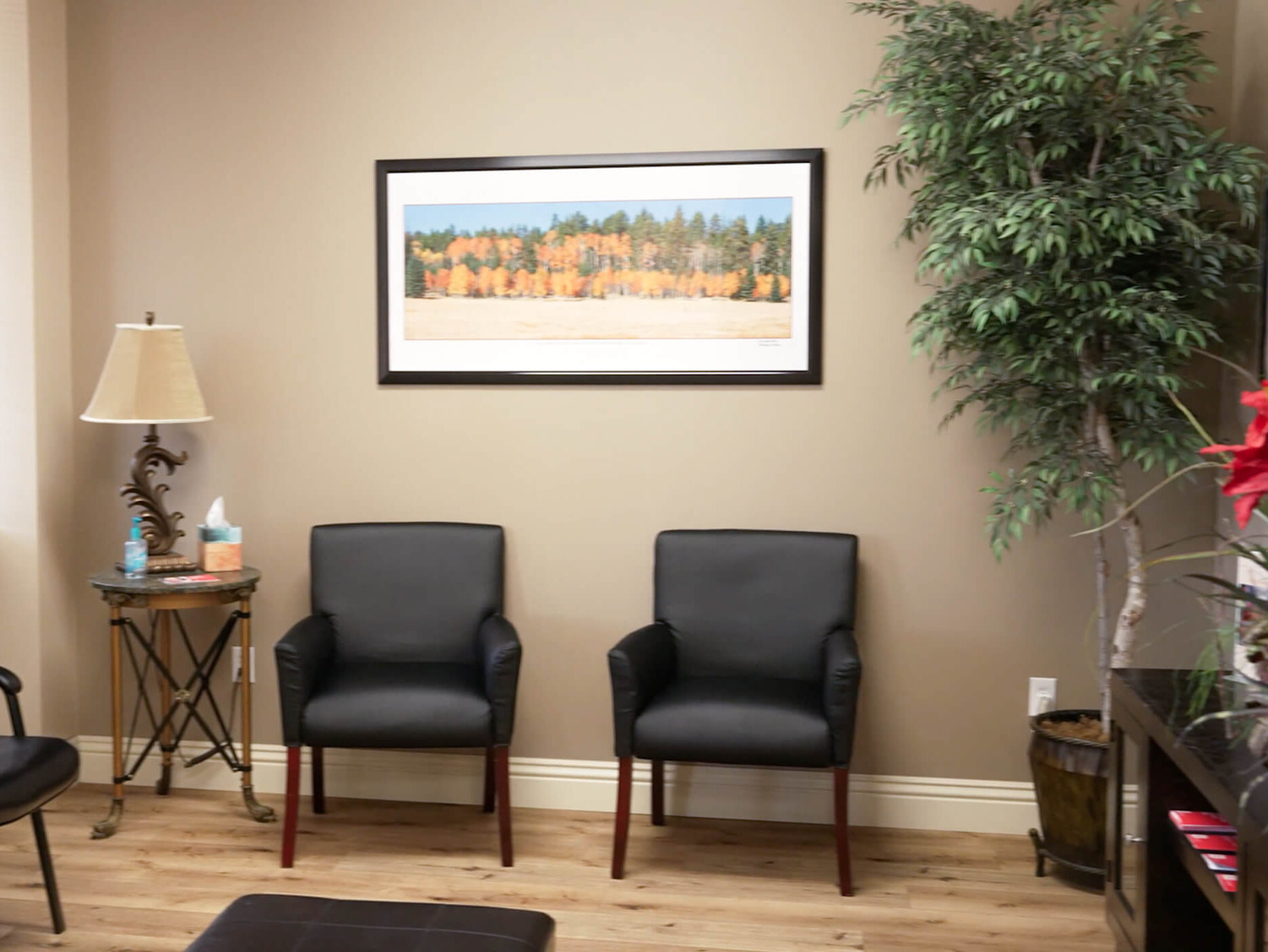 Office Interior Photo 2